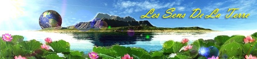 Header898 208