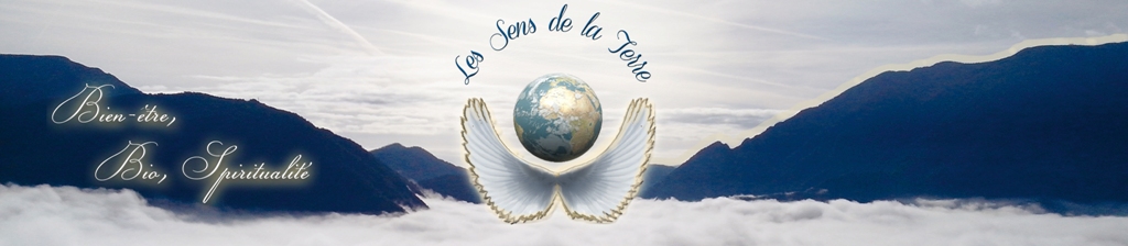 bannière logo ailesdange redim