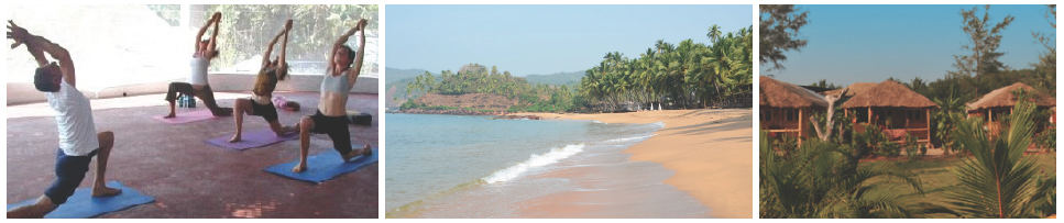 1-goa-plage-images