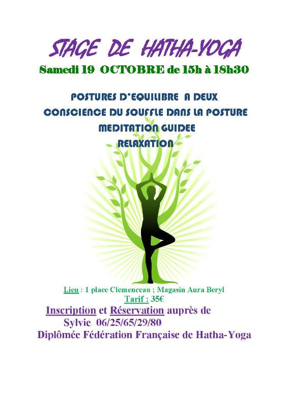 STAGE DE YOGA2comp