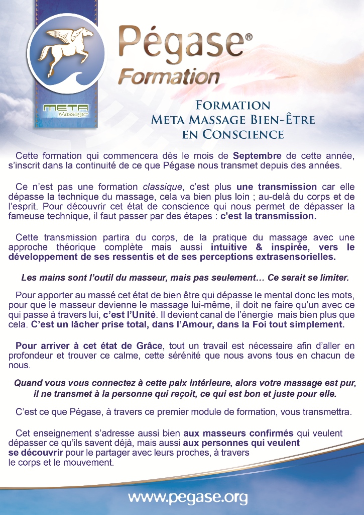 flyerPixart rectoredim